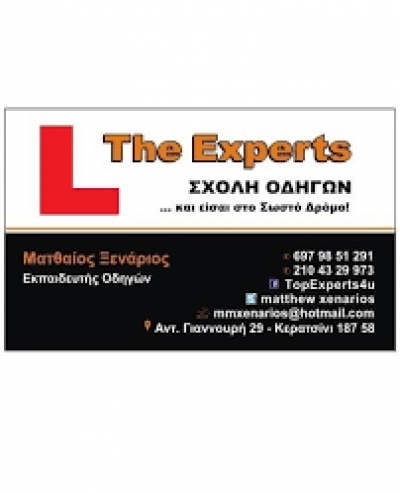 THE EXPERTS-ΜΑΤΘΑΙΟΣ ΞΕΝΑΡΙΟΣ